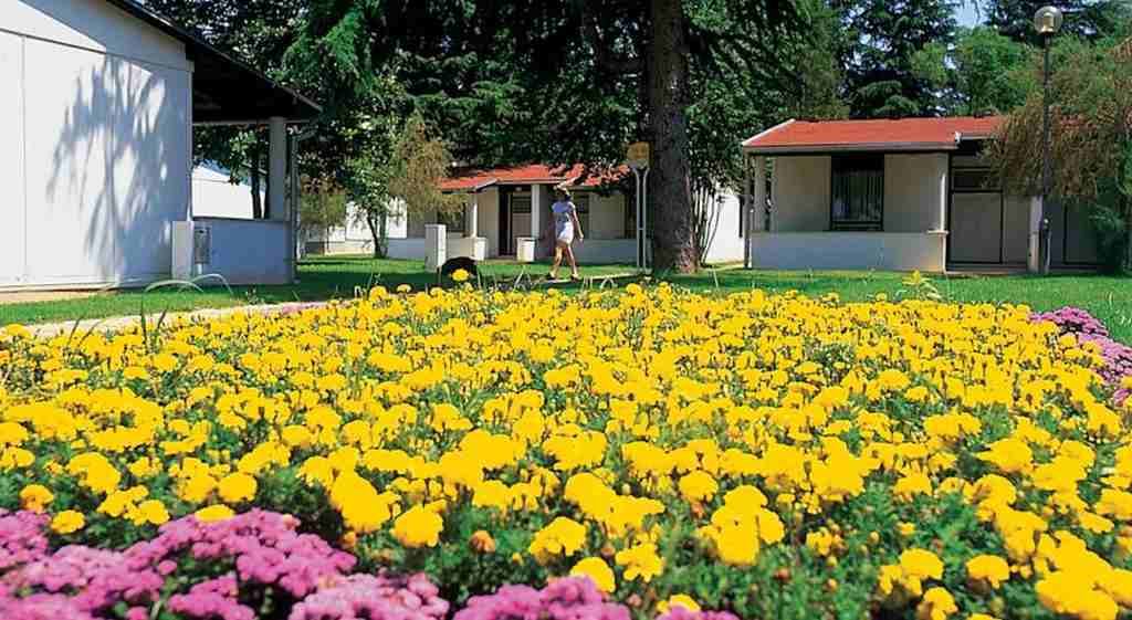 Hotel Park Plava Laguna Poreč Dış mekan fotoğraf